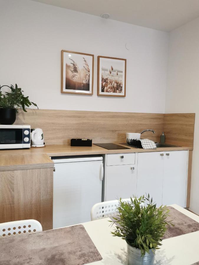 Appartement Kamienica à Uniejów Extérieur photo